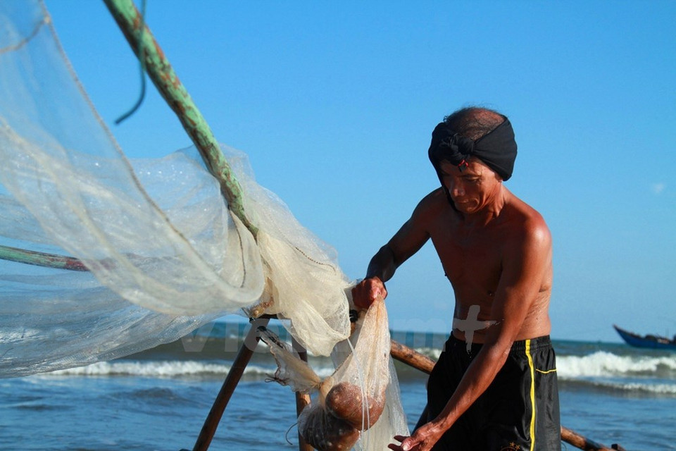 Después los ponen en un bol, añaden zumo de limón y esperan 10 – 15 minutos para que desparezca el olor. El ácido también cocina los camarones. Luego añaden azúcar, pimienta, jengibre, chili e hierbas. 