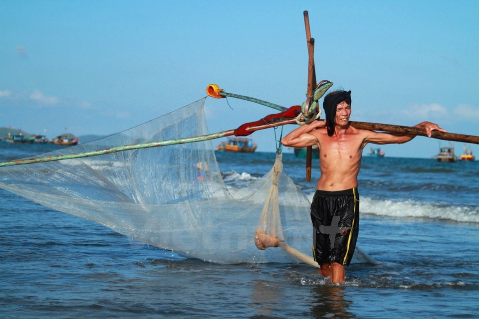 Los crustáceos después son elaborados en muchos platos como frito con cebolla, ensaladas o caldos, pero el mejor debe ser el camarón crudo marinado.
