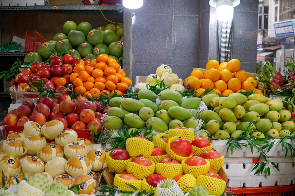 Tanto las tiendas que venden ofrendas, comida preparada, como los puestos de frutas, están igualmente ocupados. Las encuestas en algunos mercados muestran que el anón de Taiwán tiene un precio superior a 15 dólares por kilogramo, las manzanas importadas están a casi siete dólares por kilogramo, los melones surcoreanos a unos 6,5 dólares por kilogramo, las bananas hasta 4,3 dólares por kilogramo y los mangos a 2,5 dólares por kilogramo, entre otros. El precio de la fruta hoy aumentó ligeramente entre 0,02 y 0,43 dólares por kilogramo en comparación con los días normales. Después del Año Nuevo Lunar, la luna llena de enero propicia una fiesta importante para los vietnamitas. Aunque la pandemia de la COVID-19 ha afectado mucho a los negocios, este “mercado rico” nunca ha dejado de estar “caliente” (Fuente: Vietnam+)