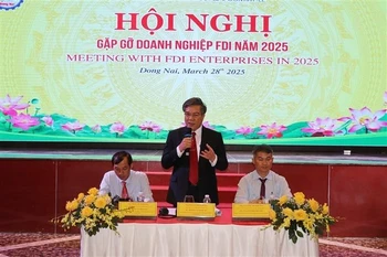 Duong Minh Dung, vicepresidente del Comité Popular de Dong Nai, aclara las dudas de las empresas (Foto: VNA)