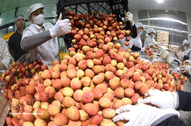 vnanet-agri.jpg