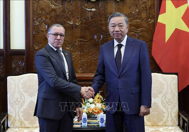 El presidente vietnamita, To Lam, y el embajador de Colombia en Vietnam, Miguel Angel Rodriguez Melo. (Fuente:VNA) _chu_tich_nuoc_to_lam_tiep_dai_su_colombia_den_chao_tu_biet_stand.jpg