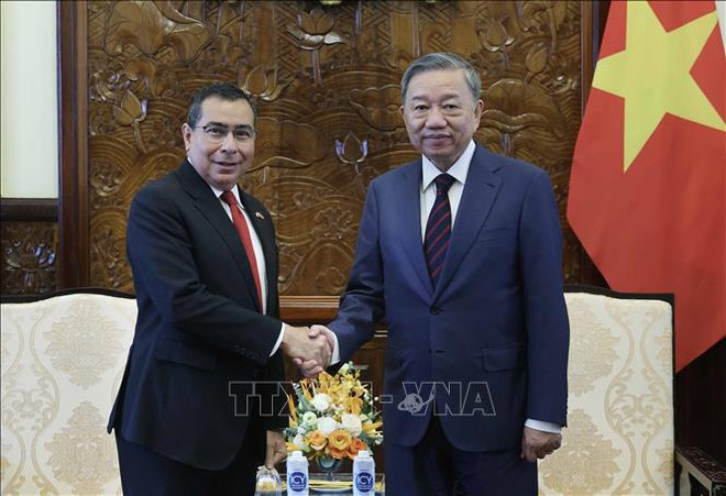El presidente vietnamita, To Lam, y Eligio Alberto Salas, embajador de Panamá en Vietnam. (Fuente:VNA) chu_tich_nuoc_to_lam_tiep_dai_su_panama_stand.jpg