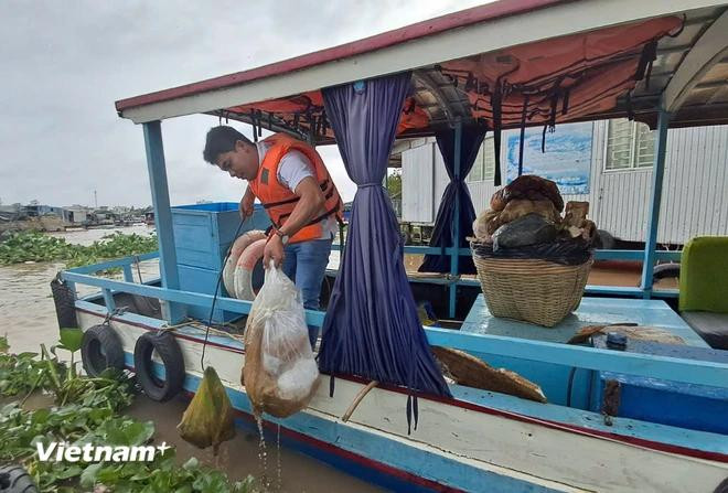 La basura se recoge en el río Can Tho, en la zona del mercado flotante de Cai Rang, distrito de Ninh Kieu. (Foto: Vietnam+) thu-gom-rac-11-4579.png.webp