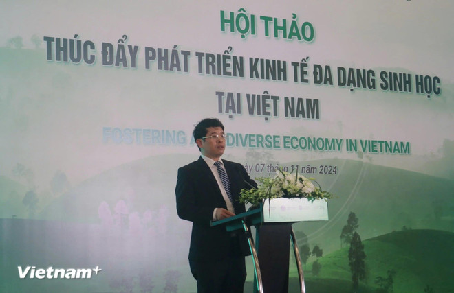 Profesor asociado Nguyen Dinh Tho, director del Instituto de Estrategia y Política sobre Recursos Naturales y Medio Ambiente. (Foto: Vietnam+) ong-nguyen-dinh-tho-6988.jpg (1).webp