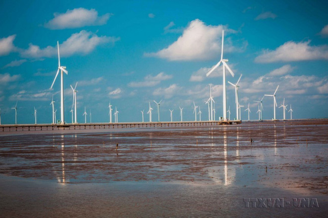 Un campo de energía eólica en el Delta del Mekong. (Fuente: VNA) vna_potal_78_nam_cach_mang_thang_tam_va_quoc_khanh_2-9_1945_-_2023_moc_son_choi_loi_trong_lich_su_dan_toc_viet_nam_6883800.jpg