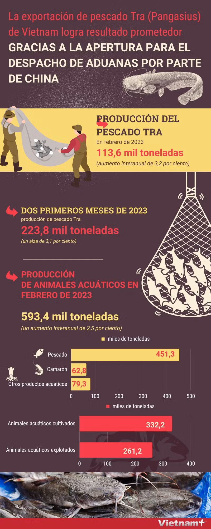 Exportación de pescado Tra de Vietnam logra resultado prometedor ảnh 1