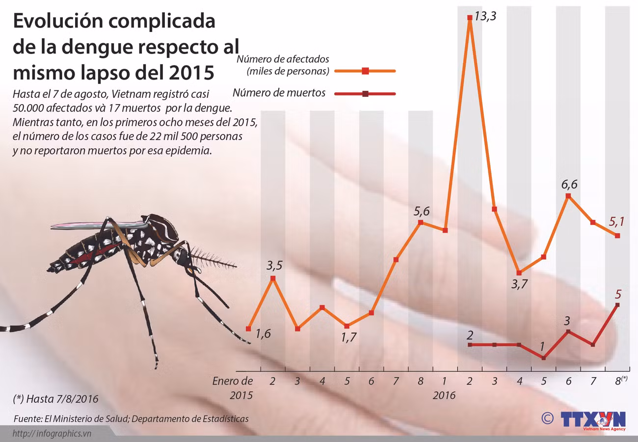 [Infografía] Evolución complicada de la dengue respecto al mismo lapso del 2015 ảnh 1