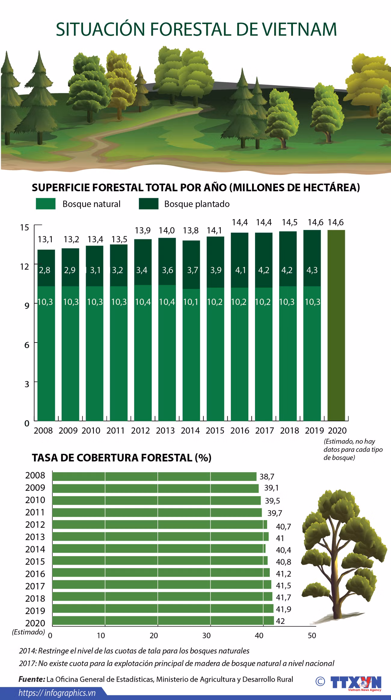 Situación forestal de Vietnam en los últimos años ảnh 1