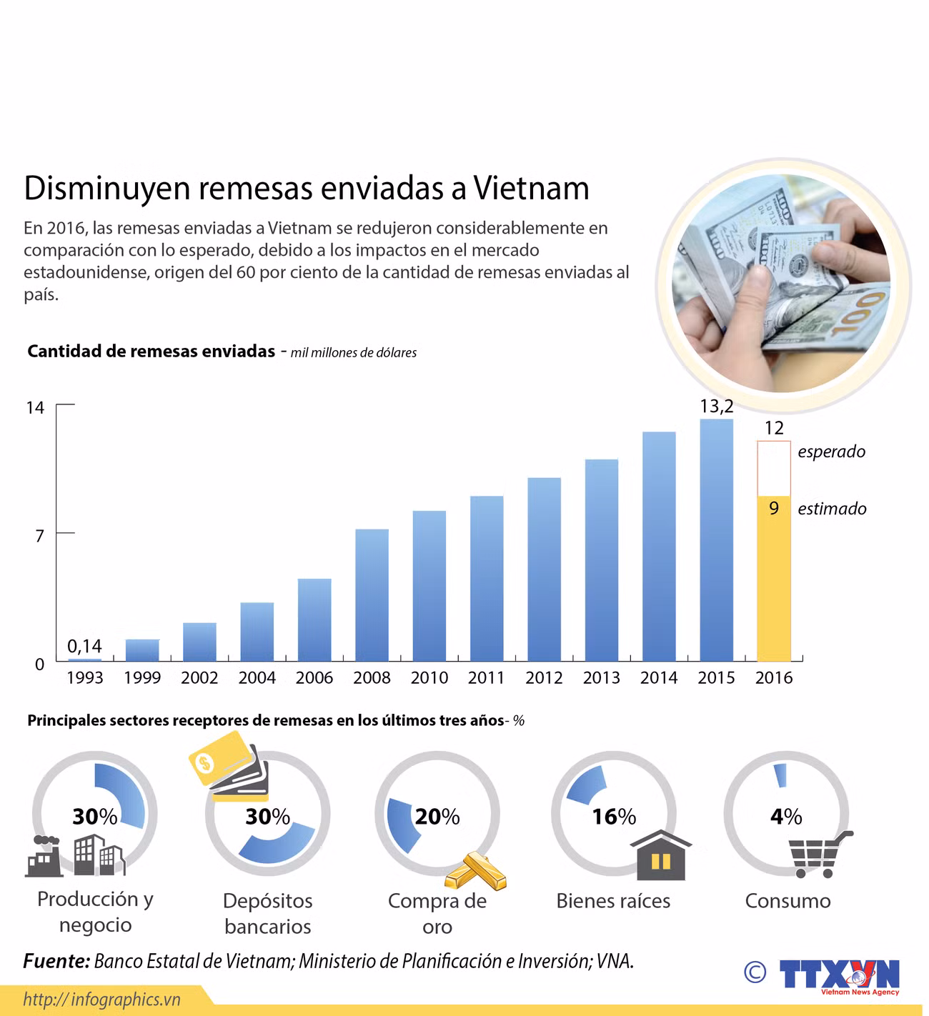Disminuyen remesas enviadas a Vietnam ảnh 1