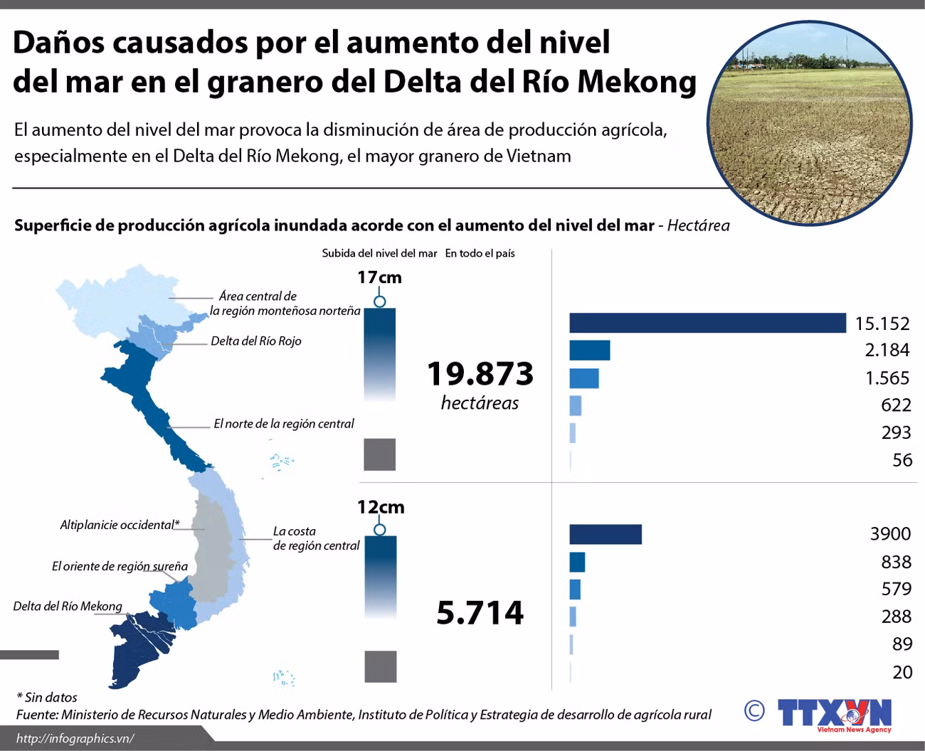 [Infografía] Daños causados por el aumento del nivel del mar en Vietnam ảnh 1
