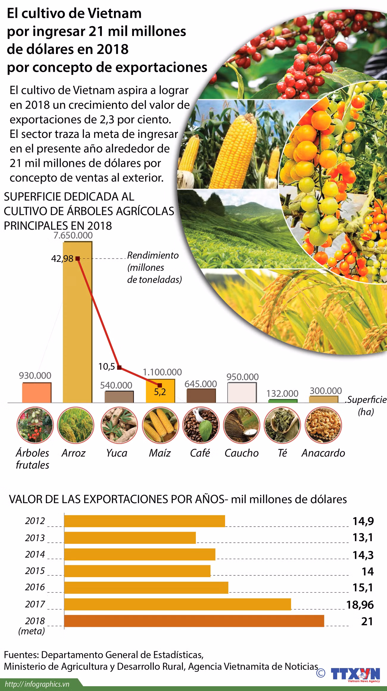 El cultivo de Vietnam por ingresar fondo multimillonario en 2018 por exportaciones ảnh 2
