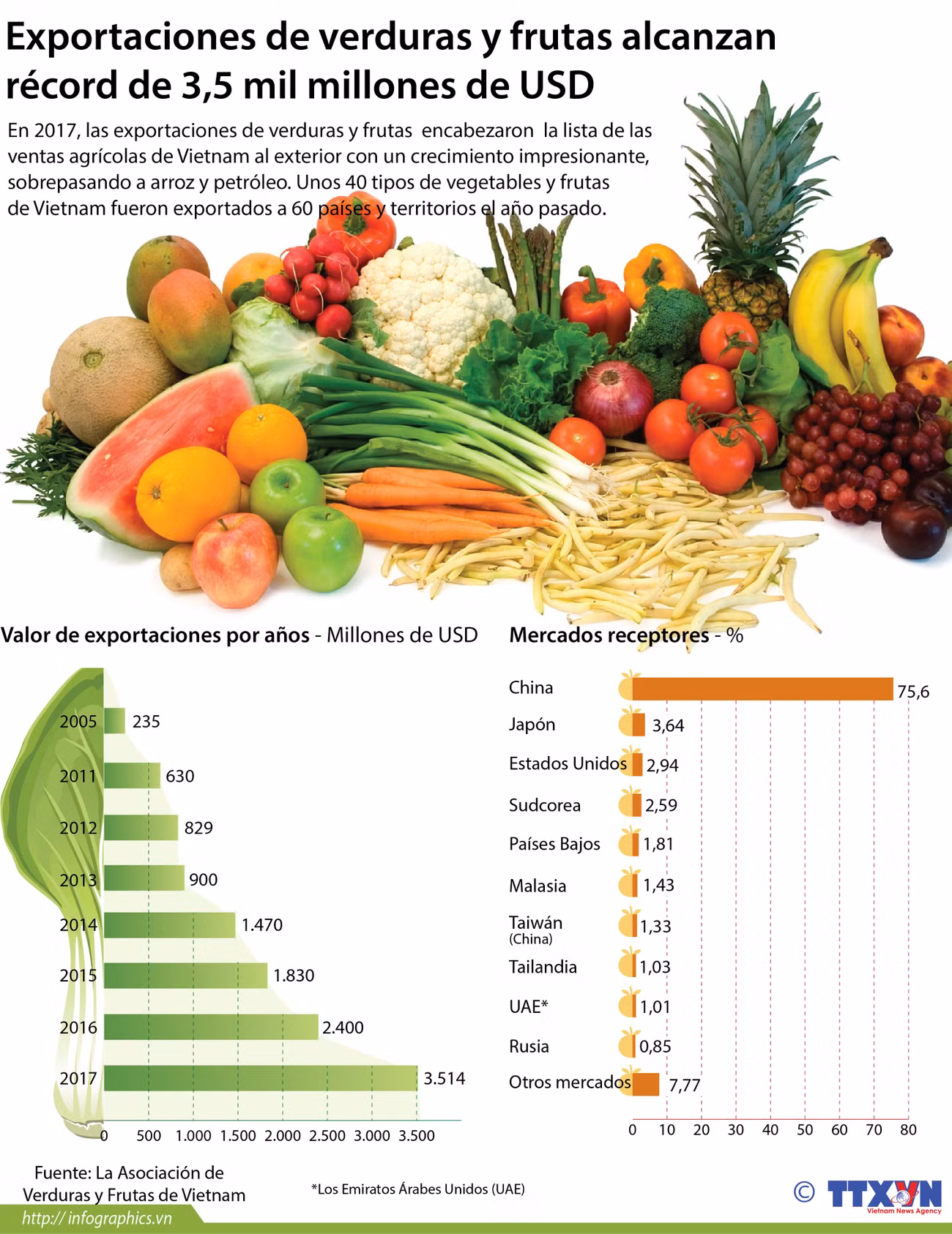 Exportaciones de verduras y frutas alcanzan récord de 3,5 mil millones de USD ảnh 1