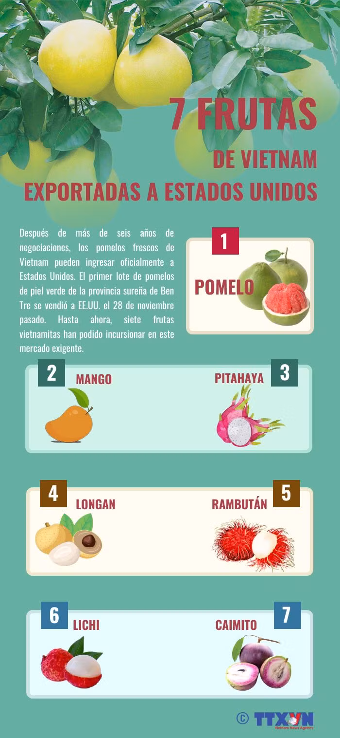 Siete frutas de Vietnam exportadas a Estados Unidos ảnh 1
