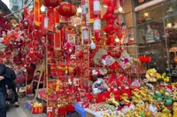 Hanoi ha entrado en el punto álgido de su temporada de compras de fin de año (Fuente: nhandan.vn)