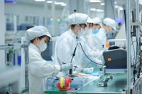 Vietnam ha estado implementando una estrategia para capacitar recursos humanos de alta calidad para la industria de semiconductores. (Foto: VNA)