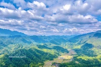 Con una altitud de 1.700 metros sobre el nivel del mar, el pico Pu Luong se está convirtiendo gradualmente en un destino ideal para el turismo de senderismo. (Foto: VNA)