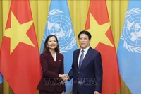 El presidente vietnamita, Luong Cuong, recibe a Pauline Tamesis, coordinadora residente de las Naciones Unidas en Vietnam (Fuente: VNA)