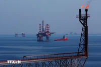 Plataformas petrolíferas en el yacimiento petrolífero de Bach Ho. (Foto: VNA)