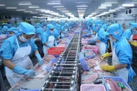 Procesamiento de mariscos para exportación (Fuente: VNA)