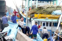Los pescadores preparan aparejos de pesca, hielo y otros artículos necesarios para su primera salida de pesca del año en el puerto pesquero de Phan Thiet. (Foto: VNA)