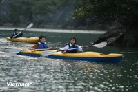 Turistas en la bahía de Ha Long (Fuente: VNA)