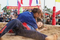 Festival de lucha de la aldea de Sinh revive el espíritu marcial de Vietnam 