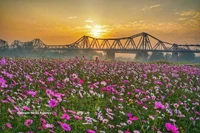 La belleza del Puente Long Bien, un símbolo cultural e histórico de Hanoi. (Foto: VNA)