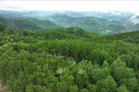 Foto ilustrada (Fuente: VNA)