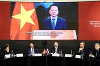 El viceprimer ministro vietnamita Tran Hong Ha en su mensaje en video enviado al Foro (Fuente: VNA)