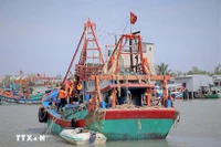 Foto ilustrada (Fuente: VNA)