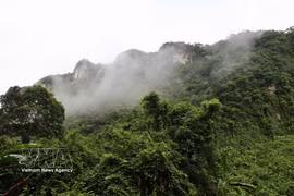 En el Parque Nacional Phong Nha-Ke Bang. (Fuente: VNA)