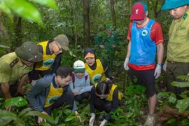 Gestionar y utilizar de forma sostenible los recursos naturales, proteger el medio ambiente y la biodiversidad para fomentar un turismo duradero son objetivos clave de la Estrategia de Desarrollo Turístico de Vietnam hasta 2030. (Fuente: nhandan.vn)