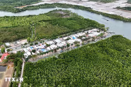 Zona residencial concentrada en medio del ecosistema de manglares de la isla de Thieng Lieng. (Fuente: VNA)