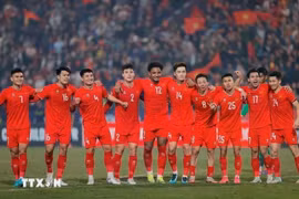 La selección nacional de fútbol de Vietnam (Fuente: VNA)