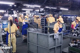 Las empresas vietnamitas se mantienen optimistas sobre el crecimiento en los mercados internacionales, según la última encuesta de HSBC. (Foto: VietnamPlus)