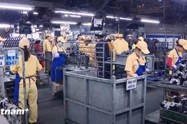 Las empresas vietnamitas se mantienen optimistas sobre el crecimiento en los mercados internacionales, según la última encuesta de HSBC. (Foto: VietnamPlus)