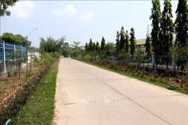 En una zona rural de la provincia de Binh Thuan. (Fuente: VNA)