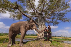 H’Hen Nie, Miss Universo Vietnam 2017, promueve la cultura y los destinos del pueblo étnico E De en su más reciente video musical. (Foto: VietnamPlus)