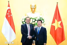 El Ministro de Industria y Comercio, Nguyen Hong Dien (Derecho), con el Segundo Ministro de Comercio e Industria sobre la expansión de la cooperación en economía, comercio y energía en marzo del año pasado. (Fuente: VNA)
