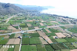 El proyecto de la plata energía nuclear Ninh Thuan 2. (Fuente: VNA)