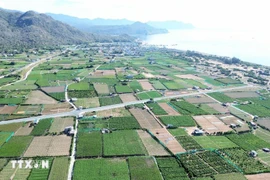 El proyecto de la plata energía nuclear Ninh Thuan 2. (Fuente: VNA)