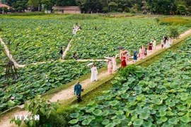 Loto en Ninh Binh. (Fuente: VNA)