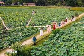 Loto en Ninh Binh. (Fuente: VNA)