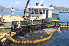En la provincia de Khanh Hoa (Fuente: VNA)