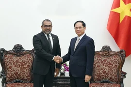 El viceprimer ministro vietnamita Bui Thanh Son y el ministro de Asuntos Exteriores de Maldivas, Abdulla Khaleel. (Fuente: Cancillería)