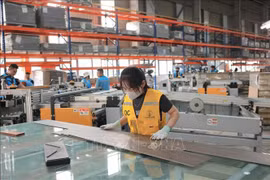 En una empresa en la provincia de Quang Ninh. (Fuente: VNA)