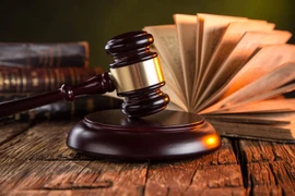 Foto ilustrativa (Fuente: baochinhphu.vn)