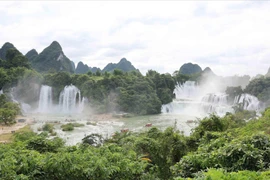 El complejo paisajístico cataratas Ban Gioc - De Tian. (Fuente: VNA) 