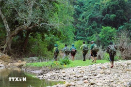 El equipo de estudio de la biodiversidad en la Reserva Natural Pu Huong. (Fuente: VNA)